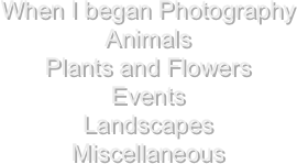 When I began Photography
Animals
Plants and Flowers
Events
Landscapes
Miscellaneous
